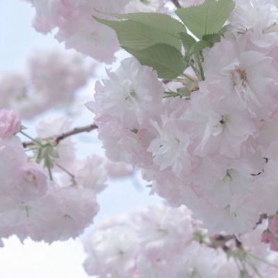 兽设赛博风格设计兽圈群